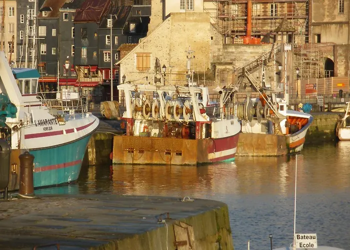 Les Coquillettes Bed & Breakfast Équemauville